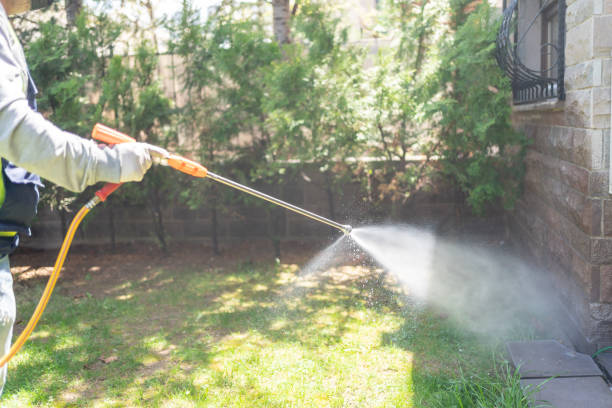 Lawn Pest Control in Haven, KS